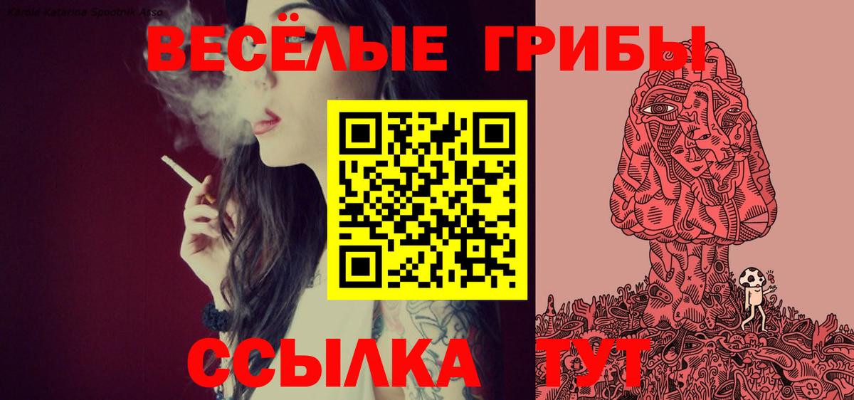 Пугачёв  Псилоцибиновые грибы ЛСД  Вход с VPN 